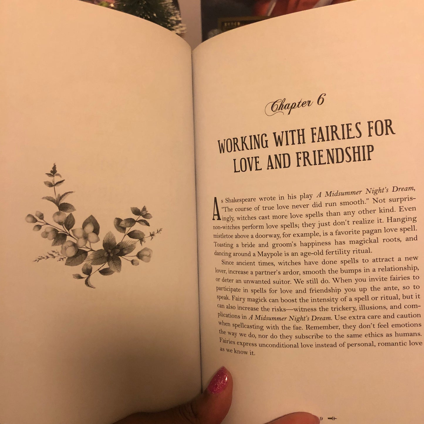 The Modern Witchcraft Guide to Fairies: Your Complete Guide to the Magick of the Fae by Sky Alexander