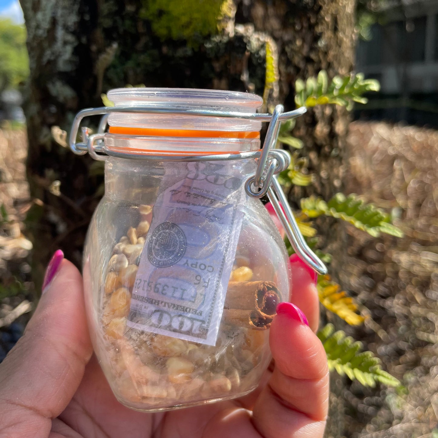 “Money Wants Me” Spell Jar | Mini Manifestation Jar for Wealth, Abundance, and Prosperity 💵